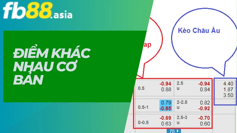 Điểm khác nhau cơ bản giữa kèo Châu Á và kèo Châu Âu? 